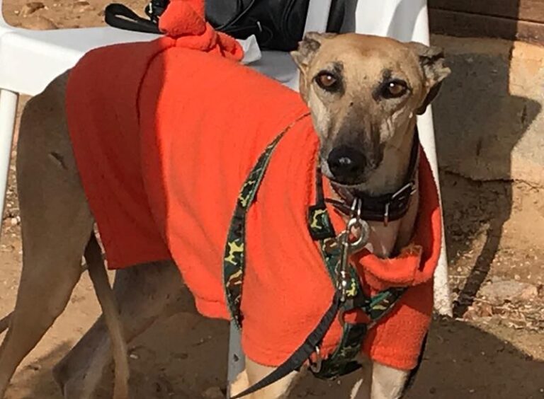 multimedia-foto61645-255-1