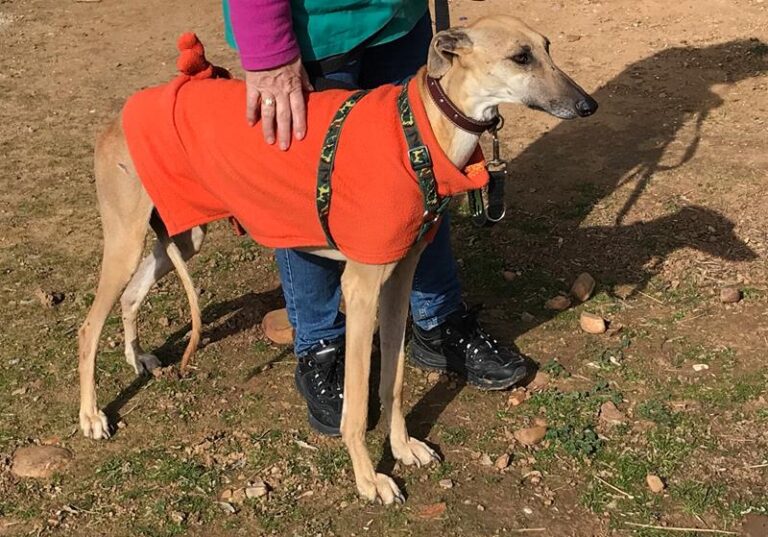 multimedia-foto61646-255-1