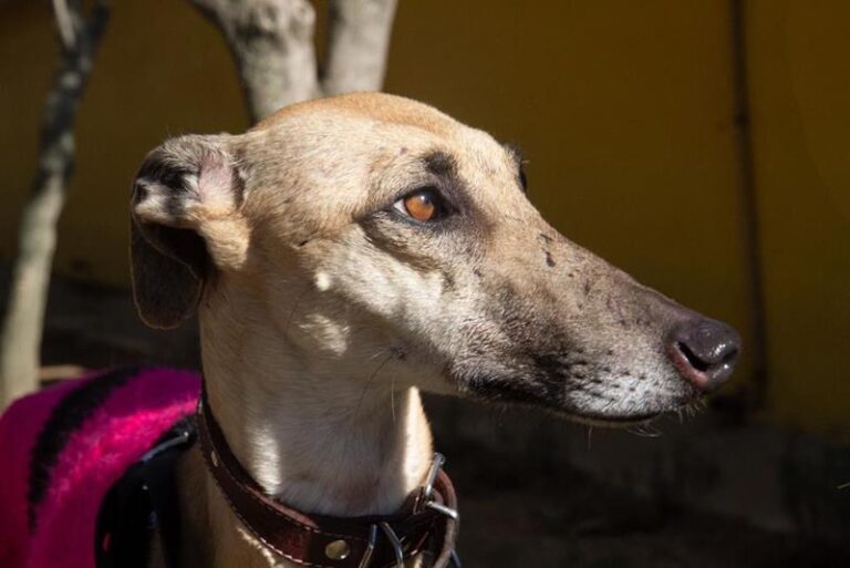 multimedia-foto61647-256-1