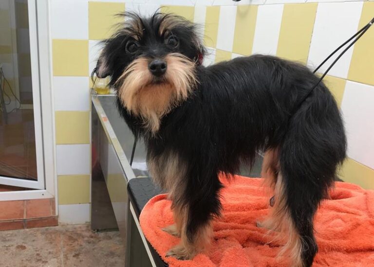 multimedia-foto61668-71-1