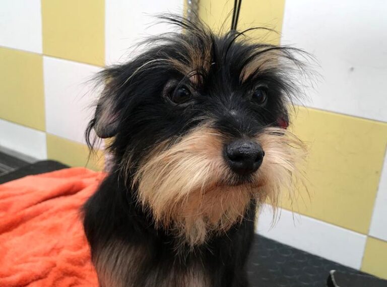 multimedia-foto61669-71-1