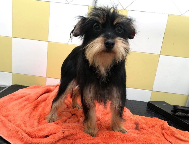 multimedia-foto61671-72-1