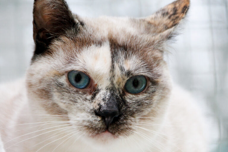 multimedia-foto61675-297-1