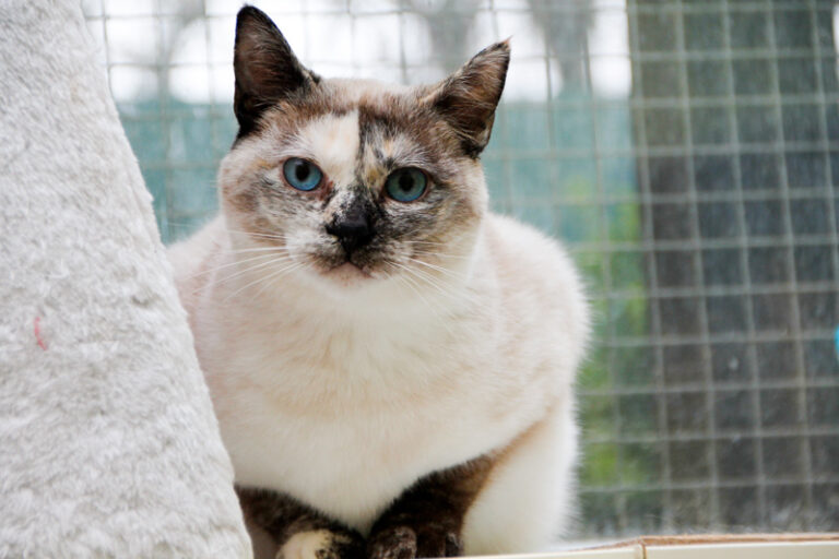 multimedia-foto61676-297-1