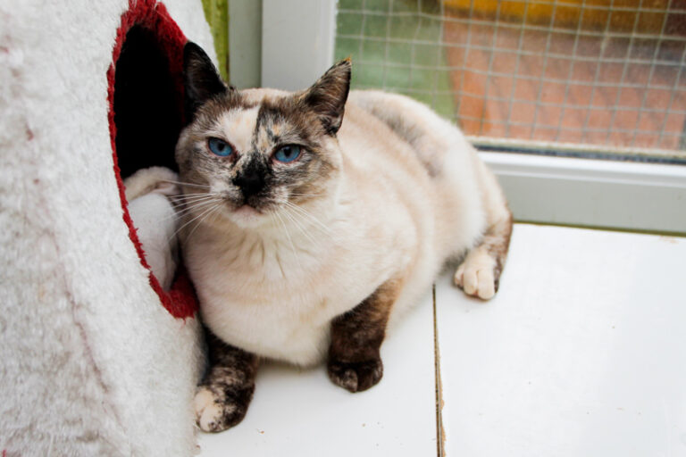 multimedia-foto61677-297-1