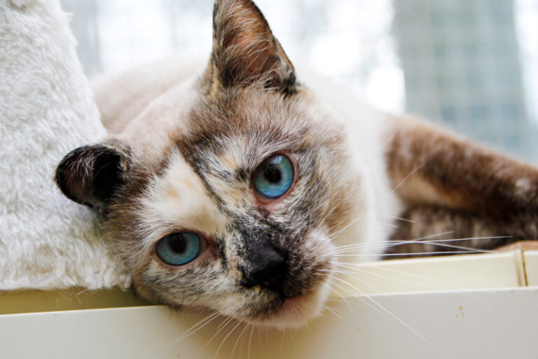 multimedia-foto61678-297-1