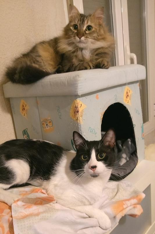 multimedia-foto61689-93-1