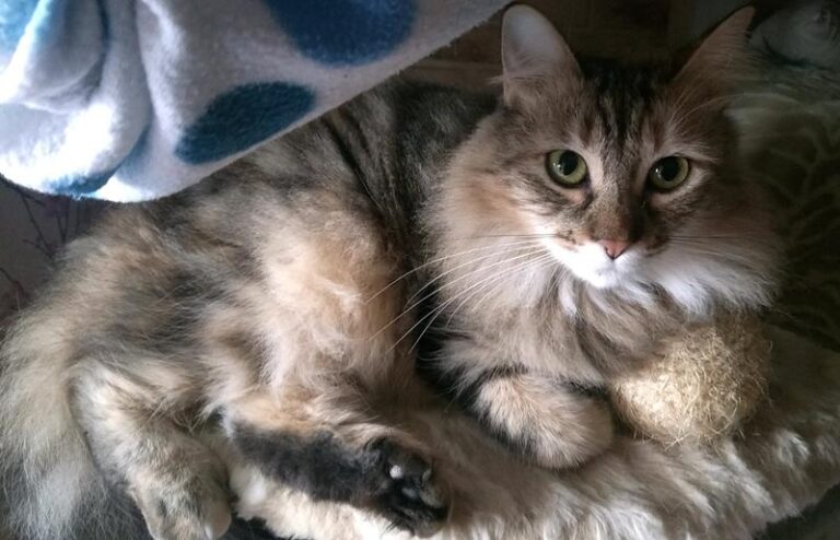 multimedia-foto61690-93-1