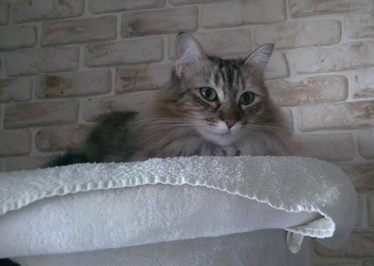 multimedia-foto61691-93-1