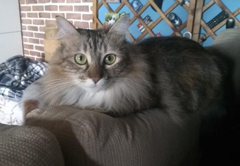 multimedia-foto61692-93-1