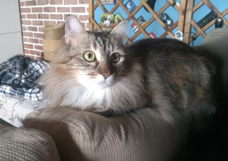 multimedia-foto61694-94-1