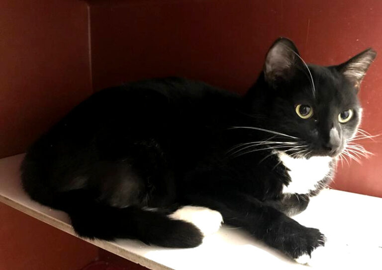 multimedia-foto61741-525-1