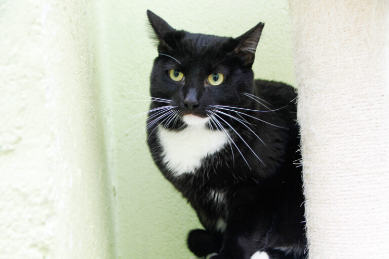 multimedia-foto61744-526-1