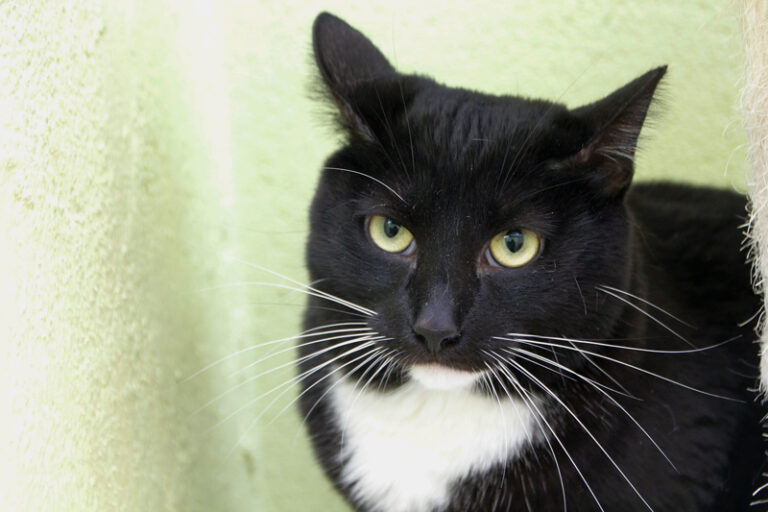 multimedia-foto61745-526-1