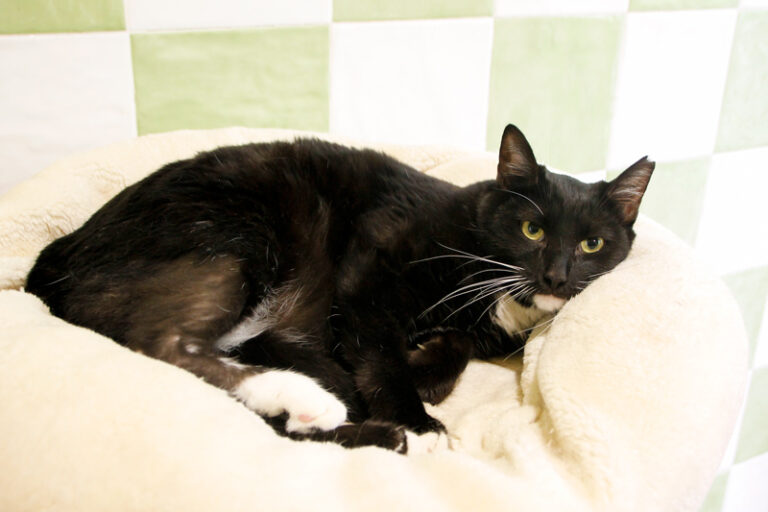 multimedia-foto61746-526-1