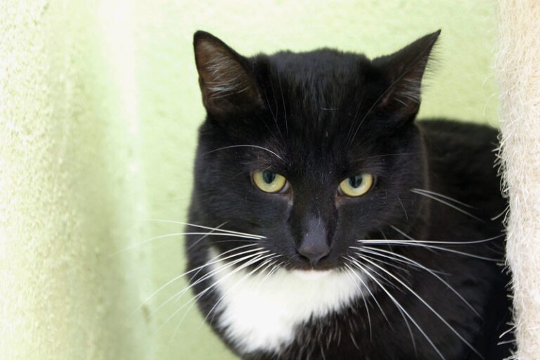 multimedia-foto61747-526-1