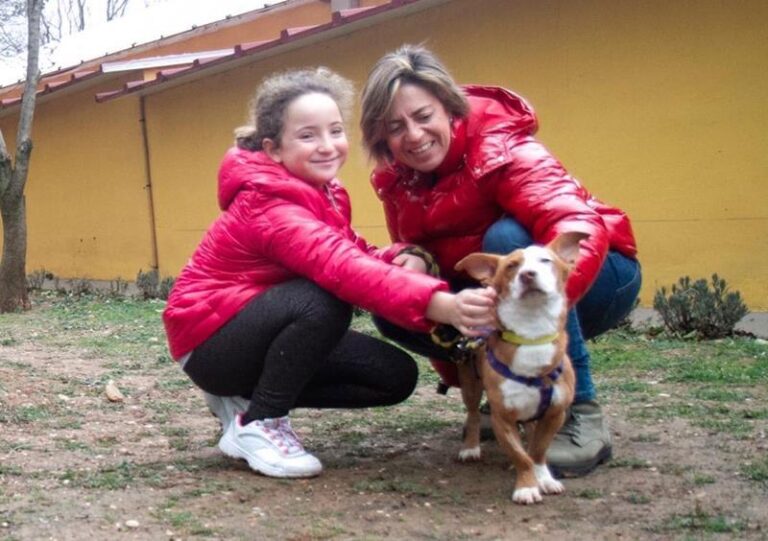 multimedia-foto61749-624-1