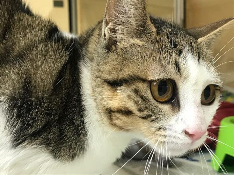 multimedia-foto61754-289-1