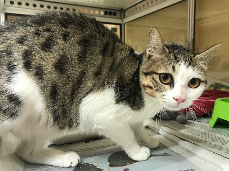 multimedia-foto61755-289-1