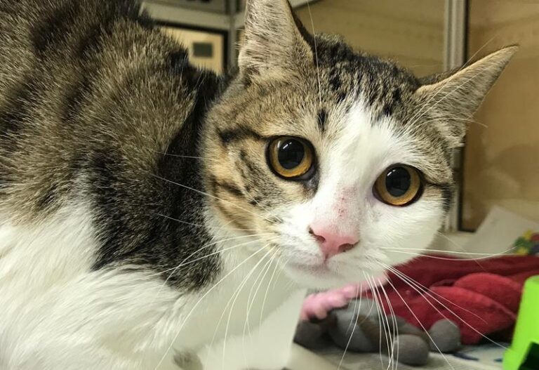 multimedia-foto61756-289-1