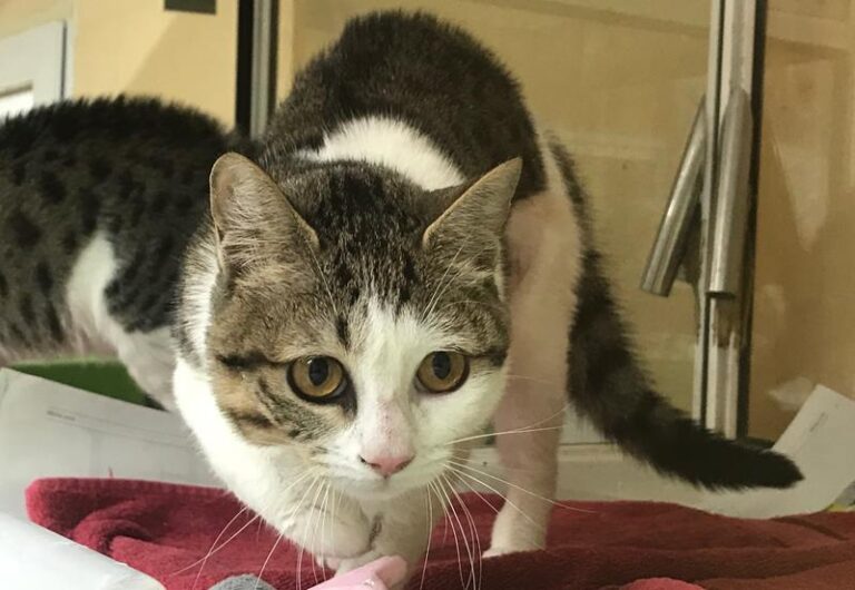 multimedia-foto61757-289-1