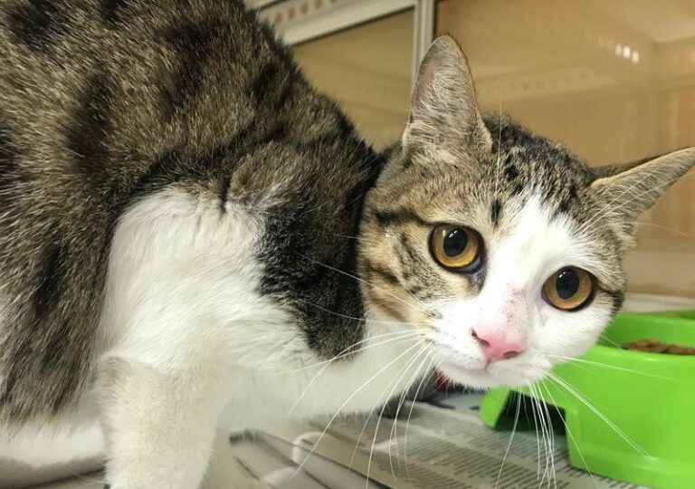 multimedia-foto61758-290-1