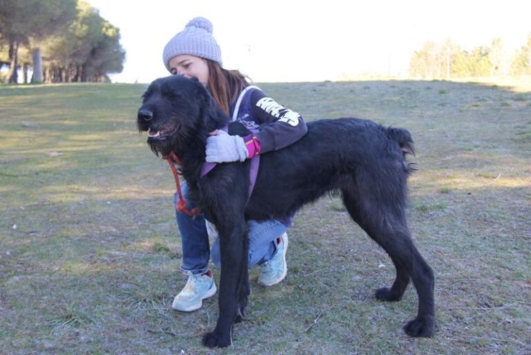 multimedia-foto61761-79-1