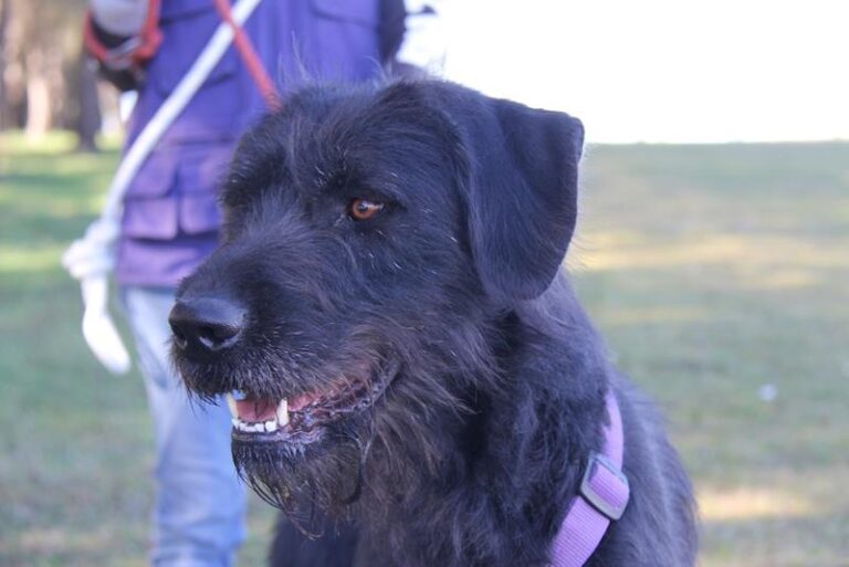 multimedia-foto61762-79-1