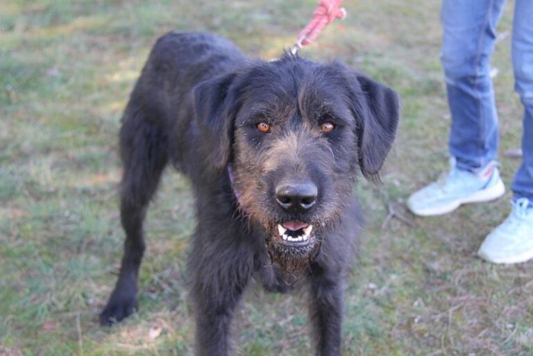 multimedia-foto61763-80-1