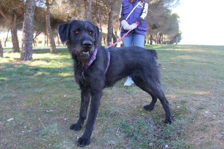 multimedia-foto61764-80-1