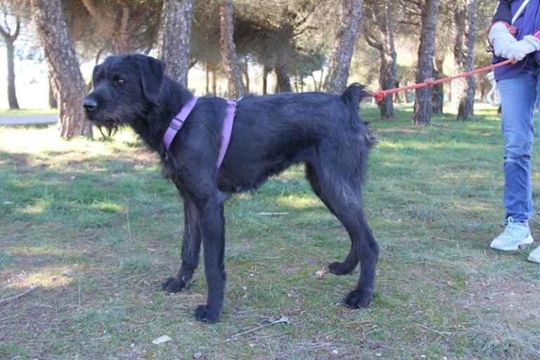 multimedia-foto61765-80-1