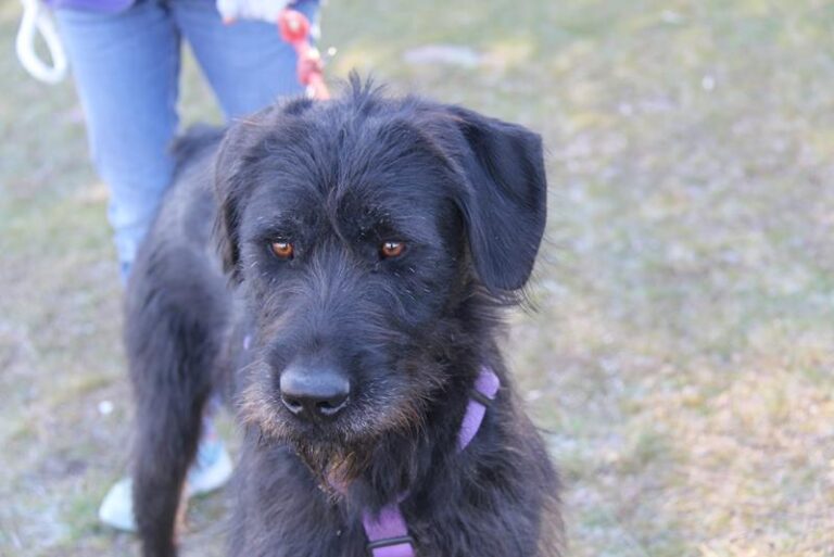 multimedia-foto61766-80-1