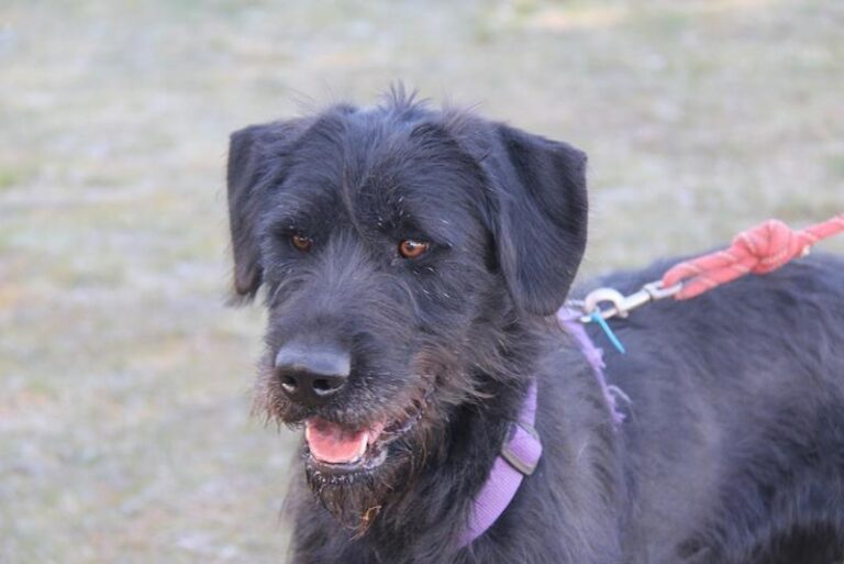 multimedia-foto61767-80-1