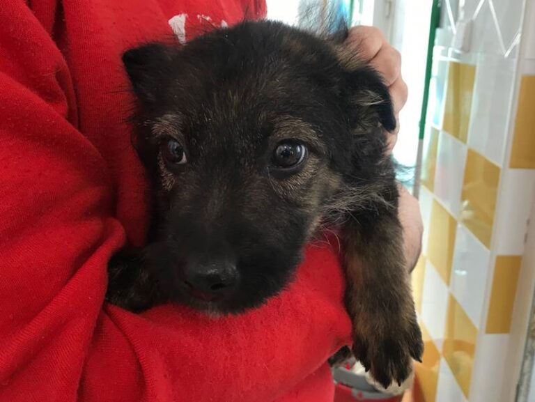 multimedia-foto61779-713-1