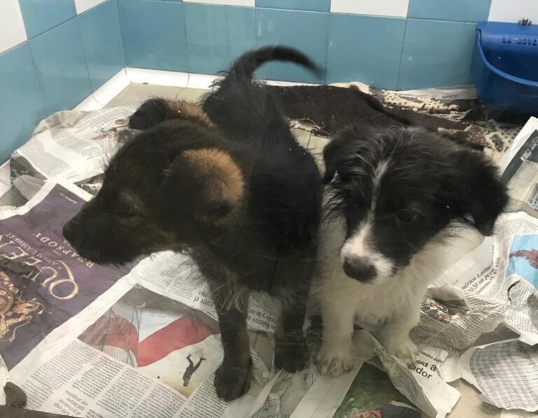 multimedia-foto61781-713-1