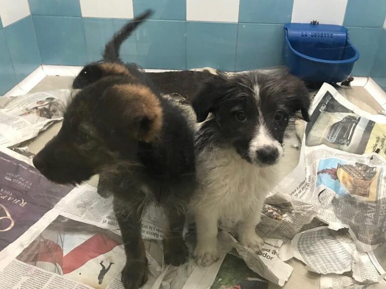 multimedia-foto61782-713-1