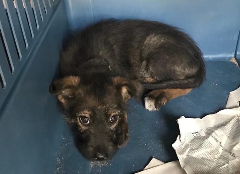 multimedia-foto61784-714-1