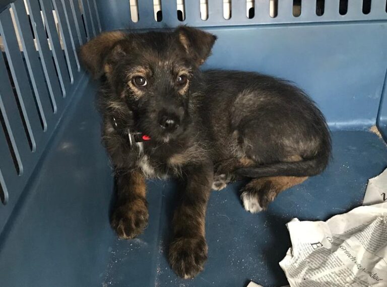 multimedia-foto61785-714-1