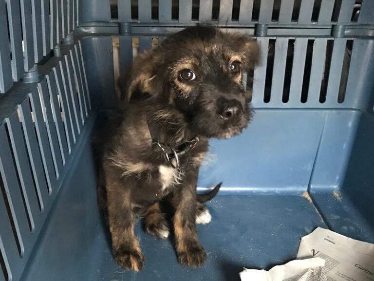 multimedia-foto61786-714-1