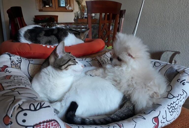 multimedia-foto61899-792-1