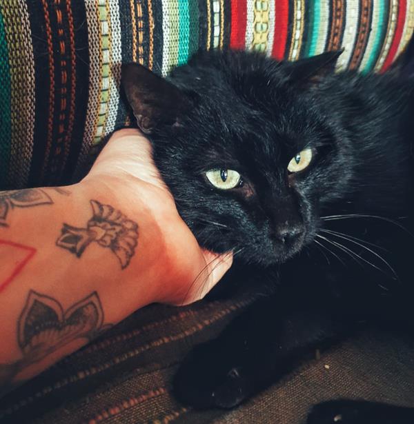 multimedia-foto61909-476-1