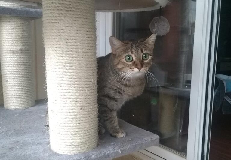 multimedia-foto61929-393-1