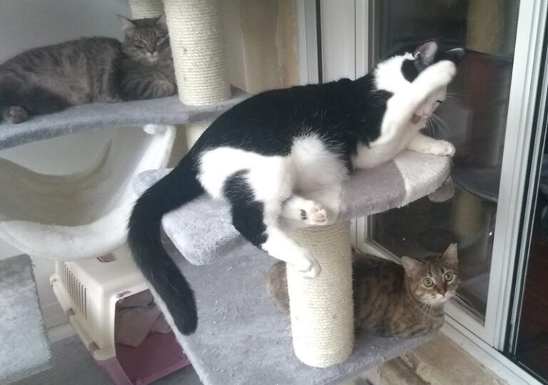 multimedia-foto61930-394-1