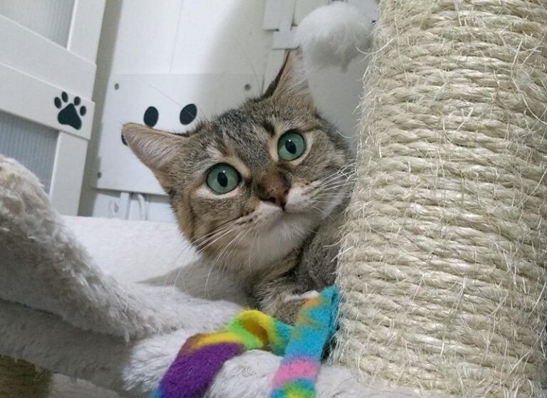 multimedia-foto61931-394-1