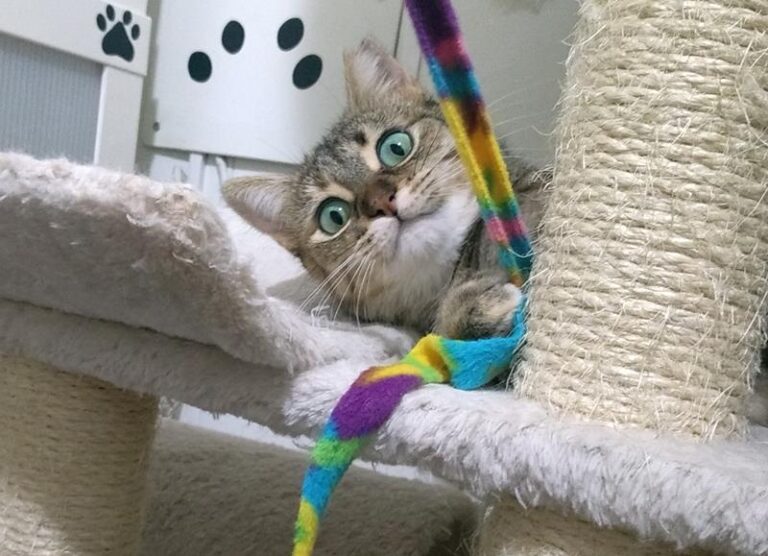 multimedia-foto61932-394-1