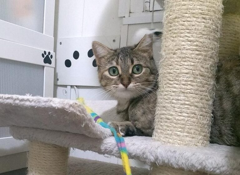 multimedia-foto61933-394-1