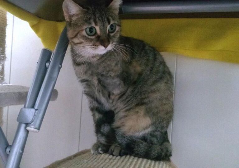 multimedia-foto61934-394-1