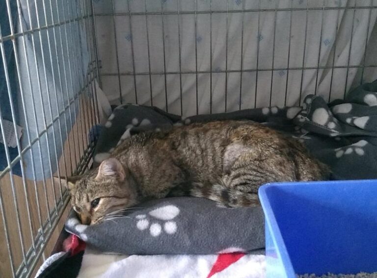 multimedia-foto61935-394-1