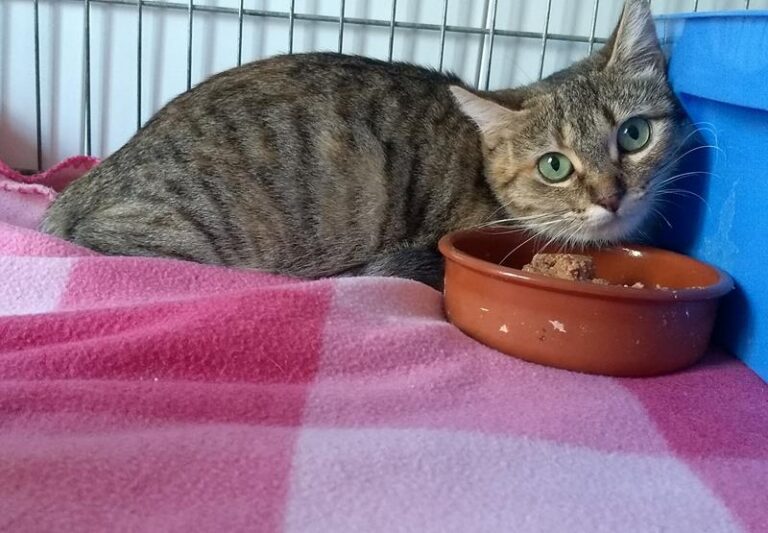 multimedia-foto61936-395-1