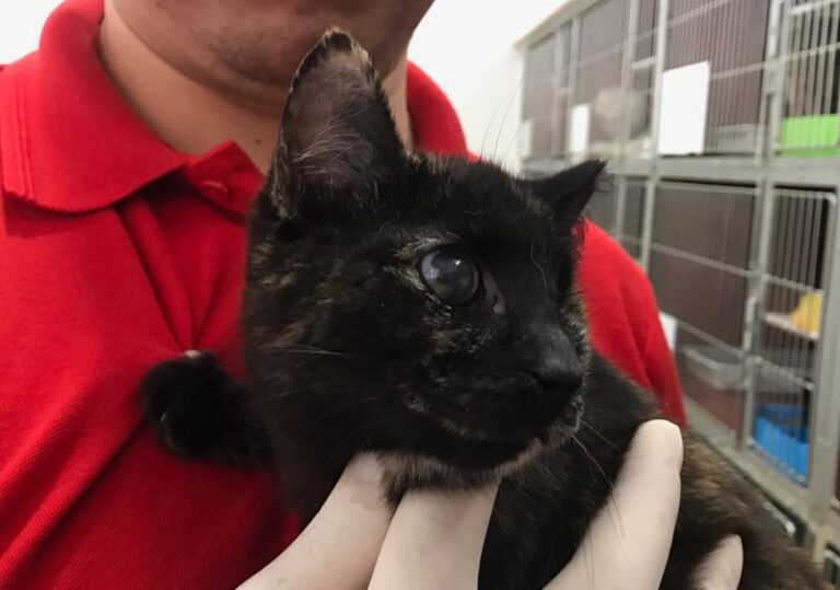 multimedia-foto61958-162-1